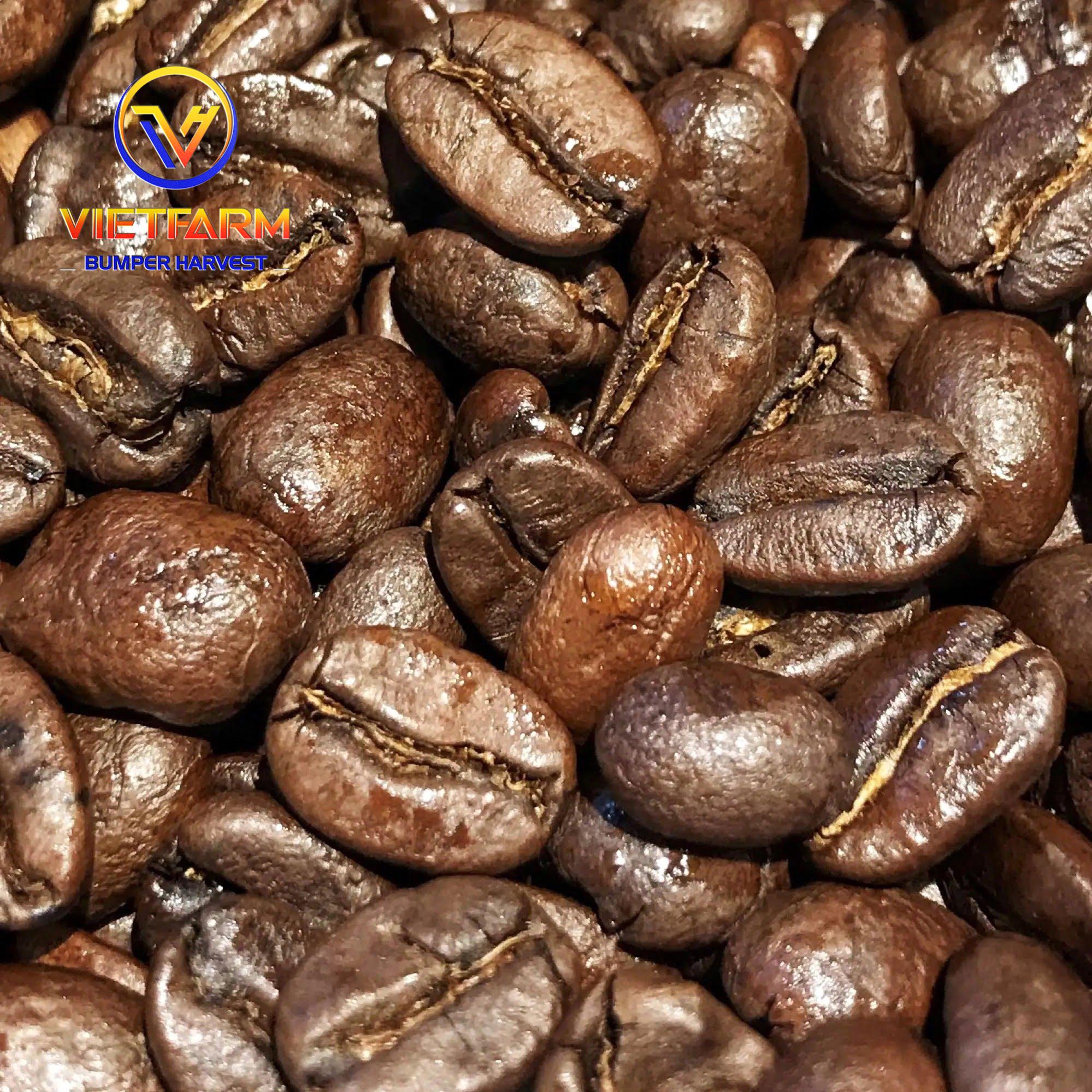 ROBUSTA COFFEE BEANS ROBUSTA COFFEE BEANS