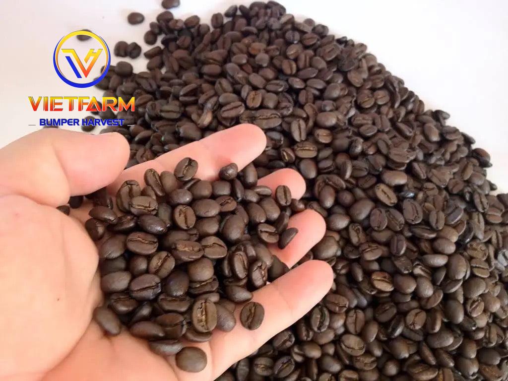 ROBUSTA COFFEE BEANS ROBUSTA COFFEE BEANS