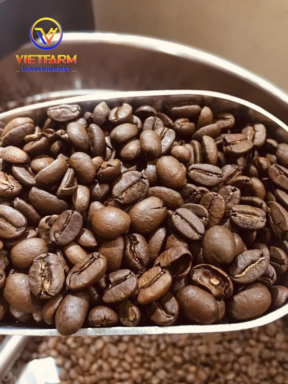 ROBUSTA COFFEE BEANS ROBUSTA COFFEE BEANS