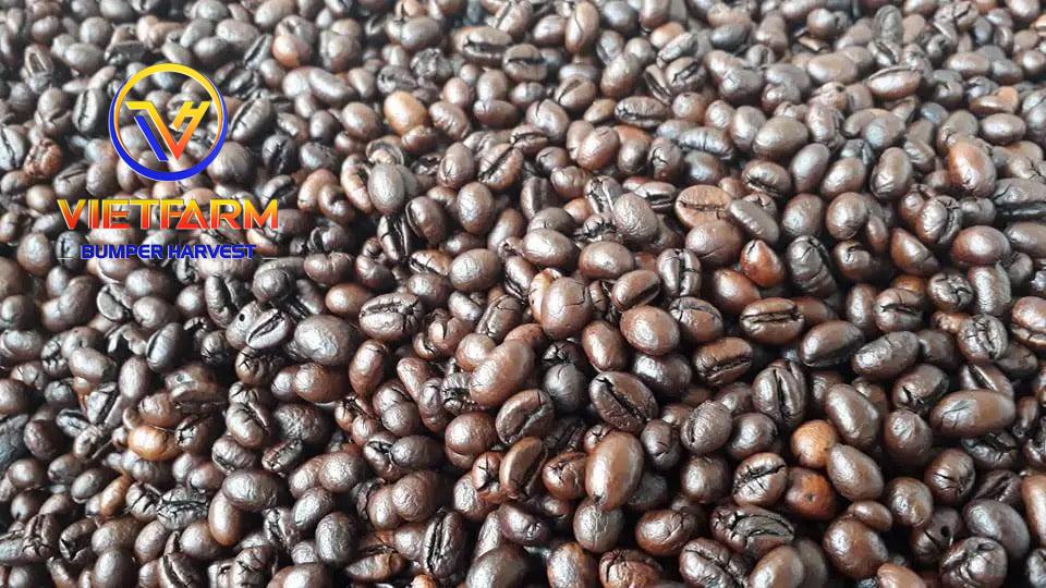 ROBUSTA COFFEE BEANS ROBUSTA COFFEE BEANS