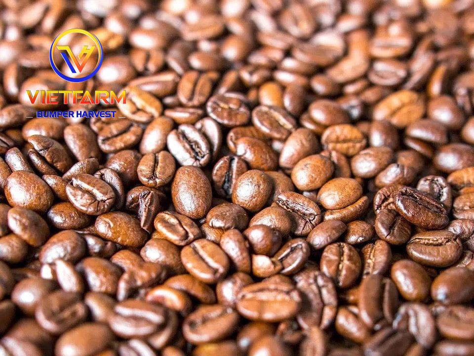 ROBUSTA COFFEE BEANS ROBUSTA COFFEE BEANS