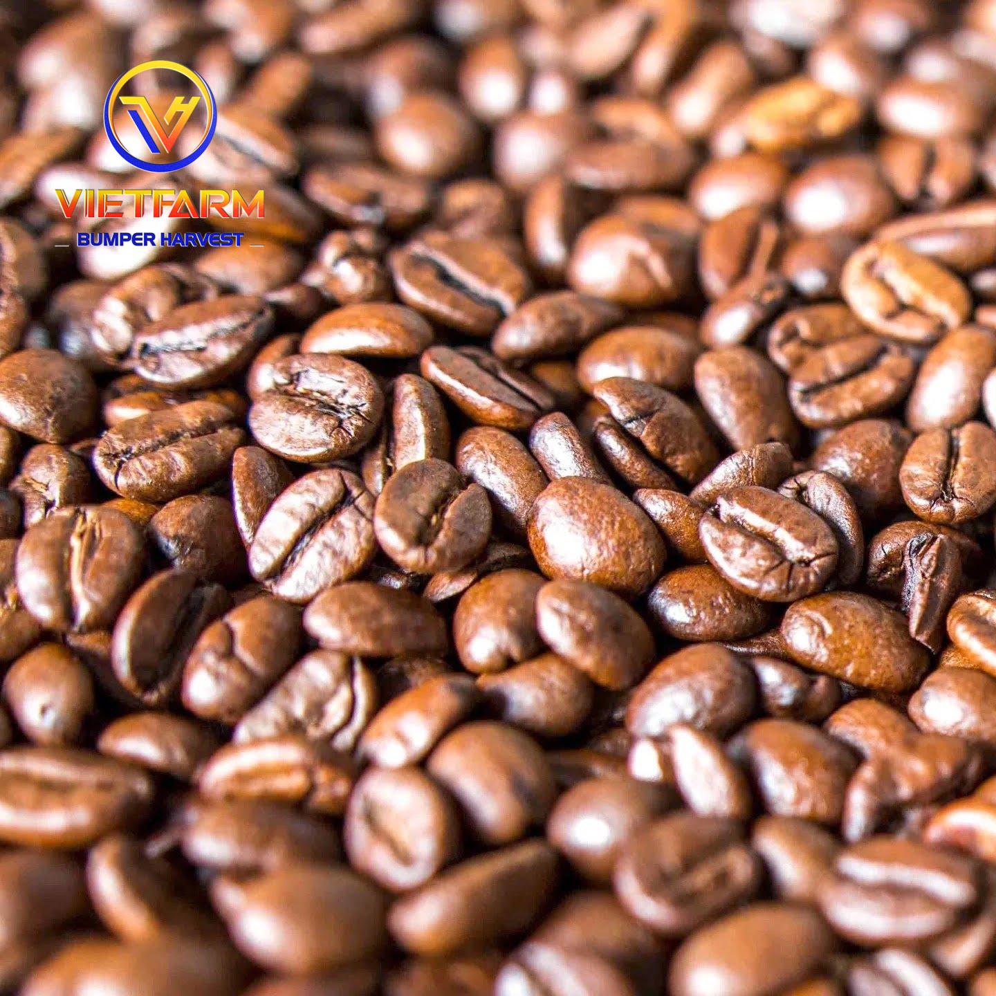 ROBUSTA COFFEE BEANS ROBUSTA COFFEE BEANS