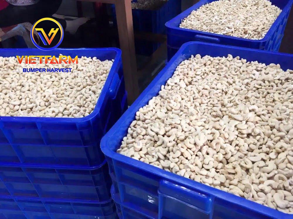 CASHEW NUTS CASHEW NUTS