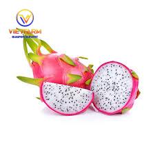 DRAGON fruit DRAGON fruit