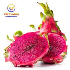 DRAGON fruit DRAGON fruit