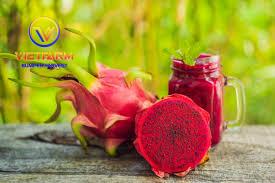 DRAGON fruit DRAGON fruit